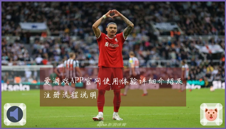 爱游戏APP官网使用体验详细介绍及注册流程说明
