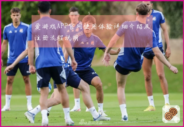 爱游戏APP官网使用体验详细介绍及注册流程说明